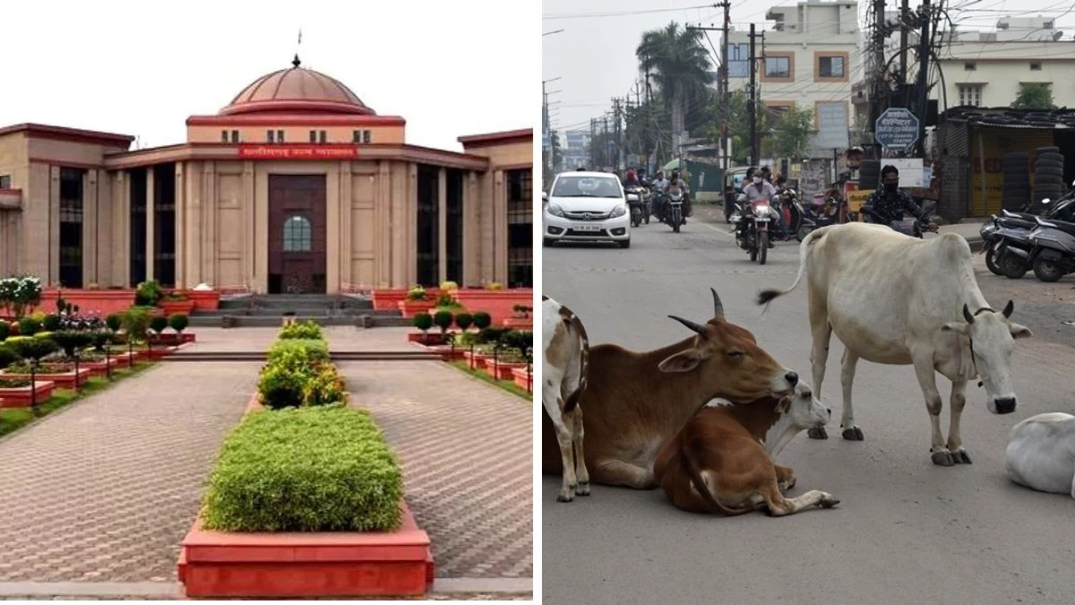 सड़क पर मवेशी छोड़ना पड़ा महंगा, टैग स्कैन कर मालिकों पर FIR