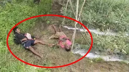 कवर्धा में दर्दनाक हादसा: खेत में करंट की चपेट में आने से पिता-पुत्र की मौत